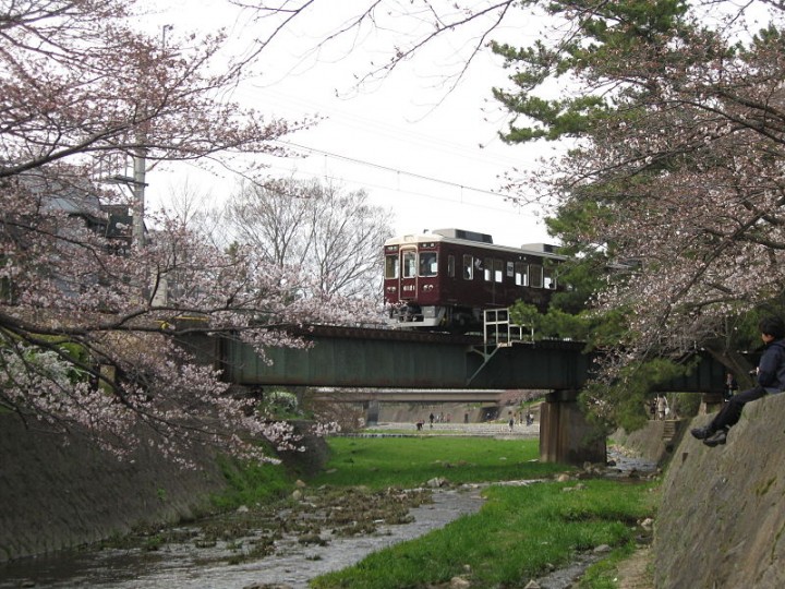 800px-Hankyu6000_6021F_sakura