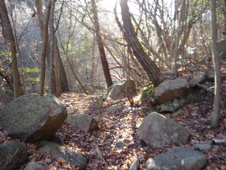 DSC01349